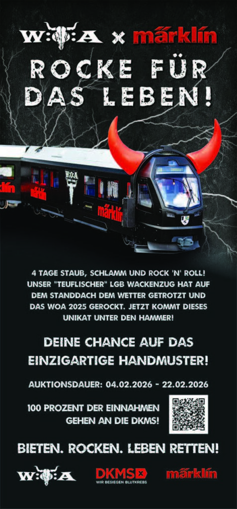 Märklin Flyer DKMS Versteigerung - Quelle: Gebr. Märkin & Cie. GmbH